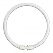 Люминесцентная лампа кольцевая GE FC55W/T5/840 2GX13, D300mm